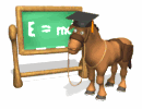 asino einstein.gif